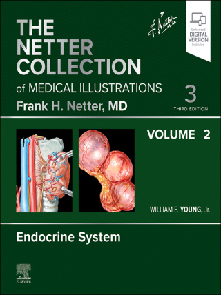 Titelbild: The Netter Collection of Medical Illustrations: Endocrine System, Volume 2 3rd edition 9780323881265