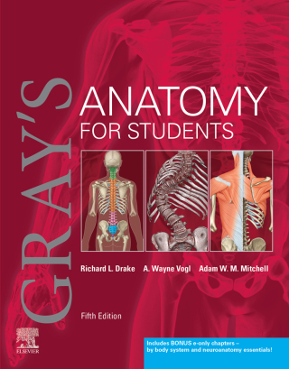 Cover image: Gray's Anatomy for Students 5th edition 9780323934237