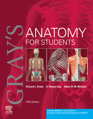 Cover image: Gray's Anatomy for Students 5th edition 9780323934237