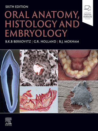 Cover image: Oral Anatomy, Histology and Embryology 6th edition 9780323935210