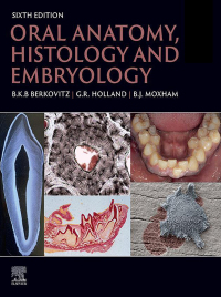 Cover image: Oral Anatomy, Histology and Embryology 6th edition 9780323935210