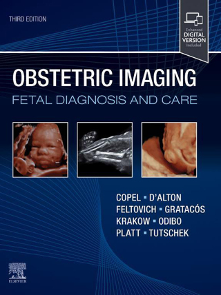 Cover image: Obstetric Imaging: Fetal Diagnosis and Care 3rd edition 9780323937719