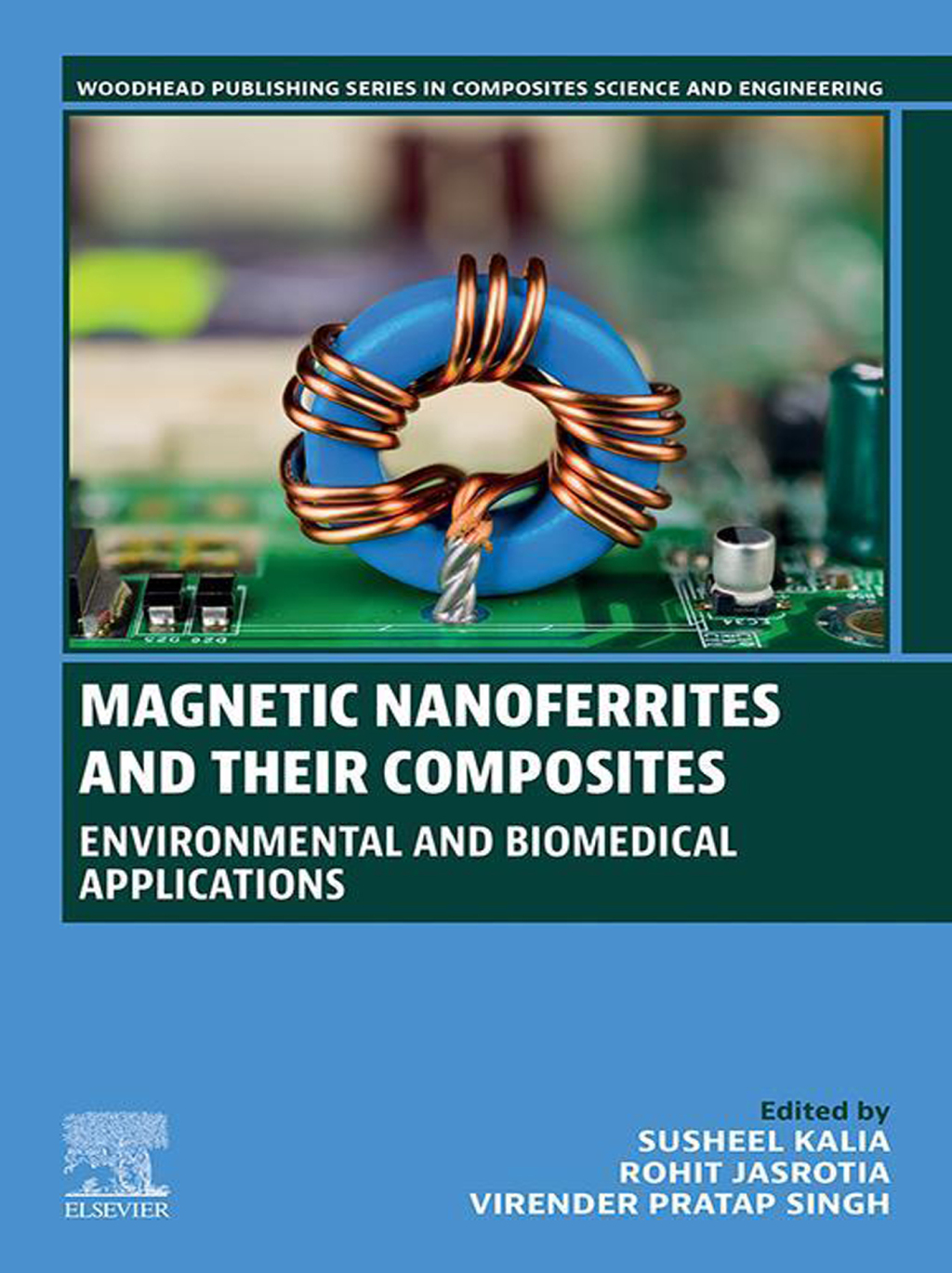 Magnetic Nanoferrites and their Composites Environmental and Biomedical Applications 1st Edition