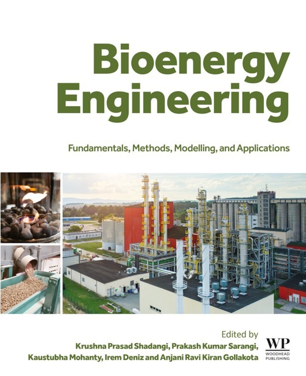 Bioenergy Engineering Fundamentals, Methods, Modelling, and Applications 1st Edition