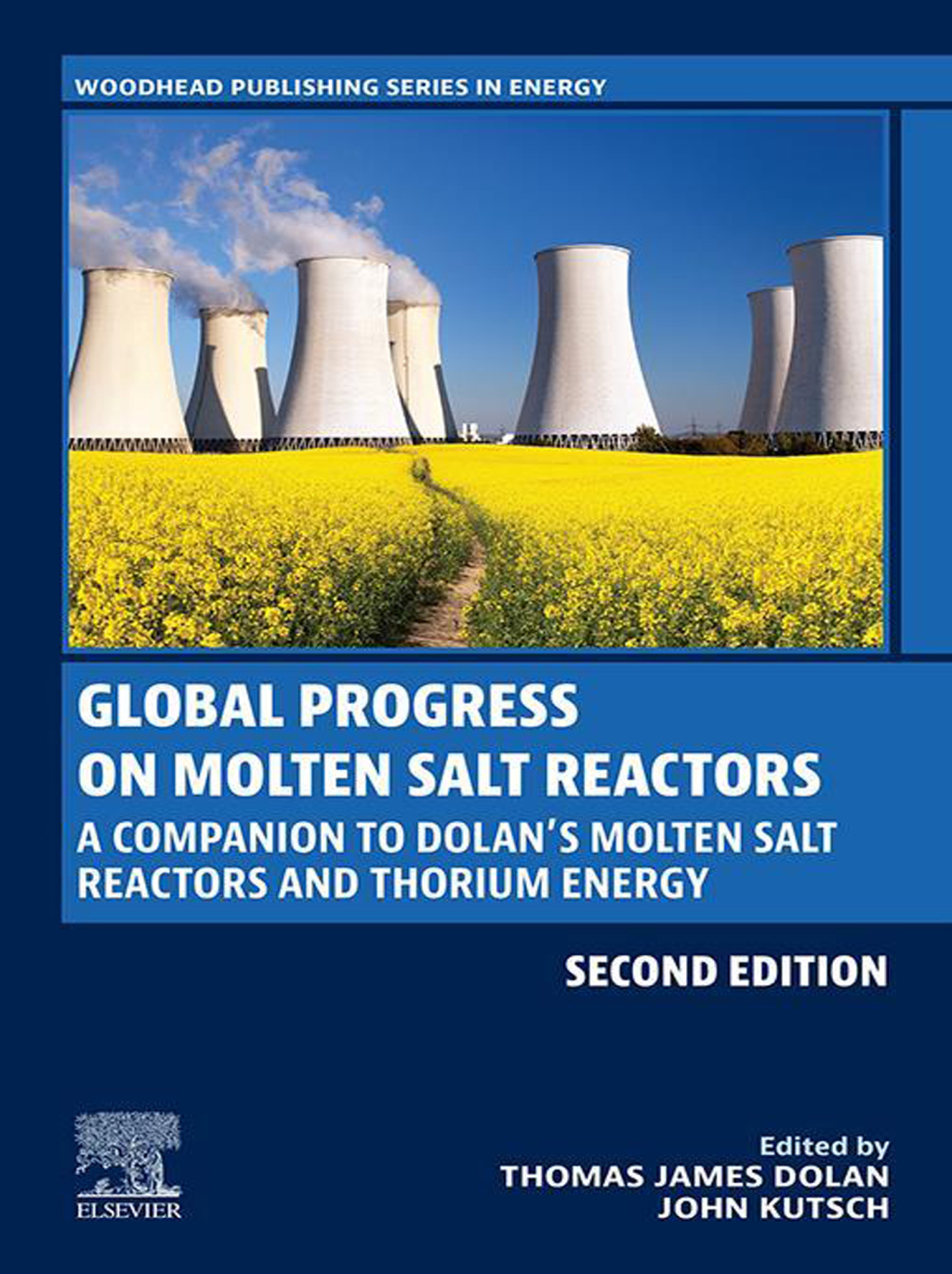 Global Progress on Molten Salt Reactors A Companion to Dolan’s Molten Salt Reactors and Thorium Energy 2nd Edition