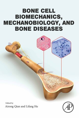 Immagine di copertina: Bone Cell Biomechanics, Mechanobiology and Bone Diseases 1st edition 9780323961233