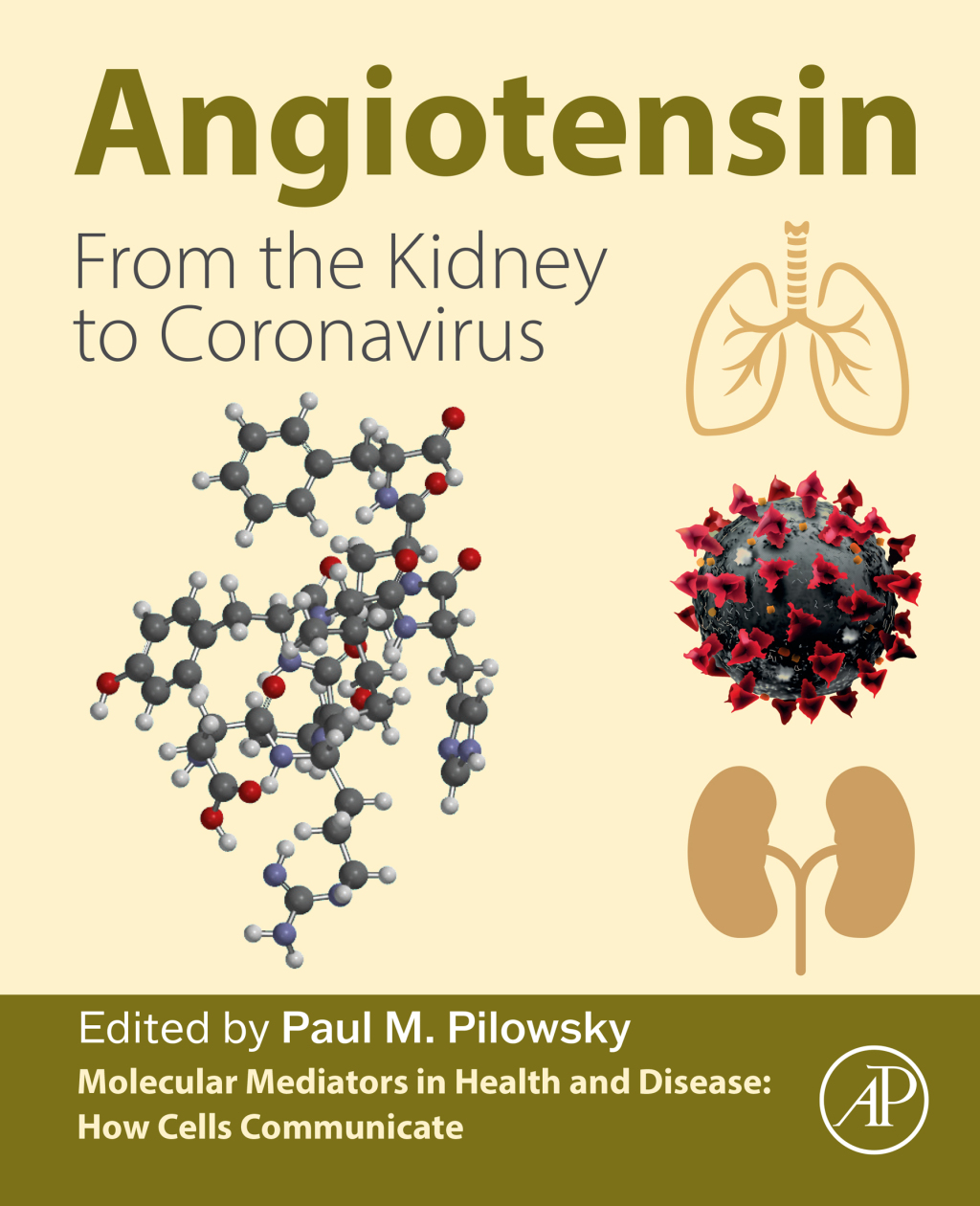 Angiotensin From the Kidney to Coronavirus 1st Edition