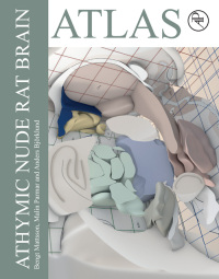 Imagen de portada: Athymic Nude Rat Brain Atlas 1st edition 9780323997409