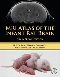 Cover image: MRI Atlas of the Infant Rat Brain 9780323997676