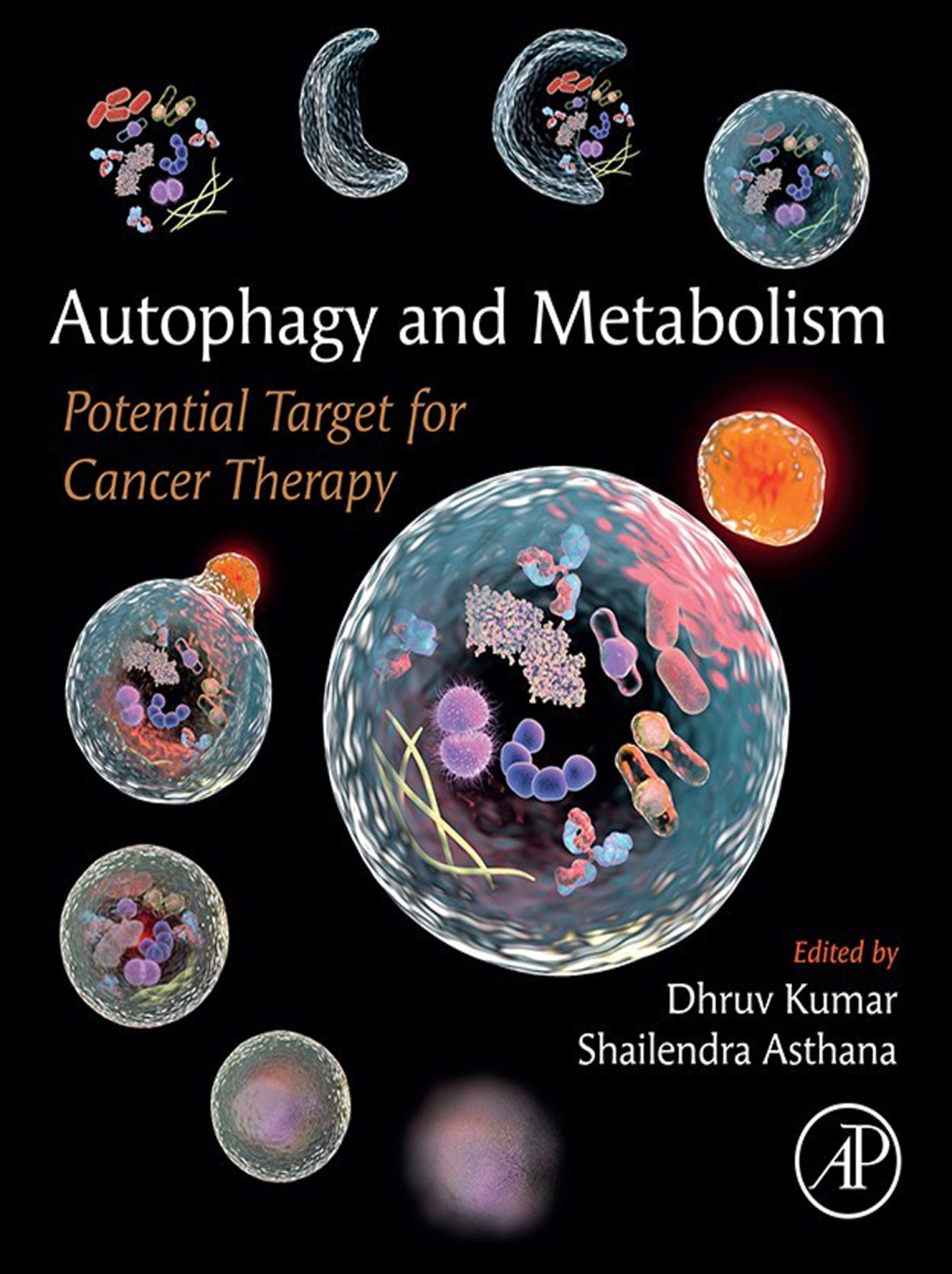 Autophagy and Metabolism Potential Target for Cancer Therapy