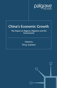 表紙画像: China’s Economic Growth 1st edition 9780333716595