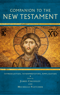 Imagen de portada: Companion to the New Testament 9780334056300