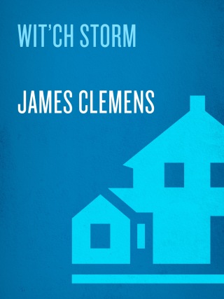 Cover image: Wit'ch Storm 9780345417084