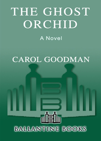 Cover image: The Ghost Orchid 9780345462138
