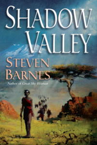 Cover image: Shadow Valley 9780345459039