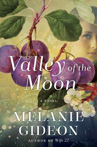 Cover image: Valley of the Moon 9780345539281