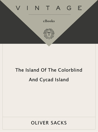 Cover image: The Island of the Colorblind 9780375700736