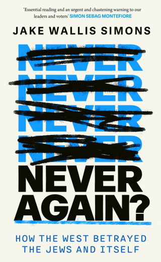 Cover image: Never Again 9780349000435