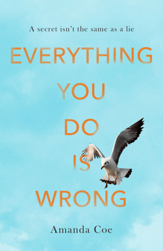 Cover image: Everything You Do Is Wrong 9780349005072