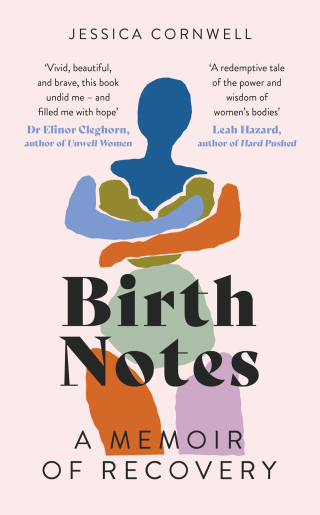 Cover image: Birth Notes 9780349014272