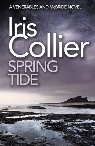 Cover image: Spring Tide 9780349409566