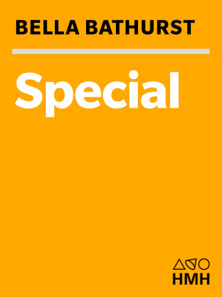 Cover image: Special 9780618263271