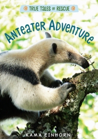 Cover image: Anteater Adventure 9781328767042