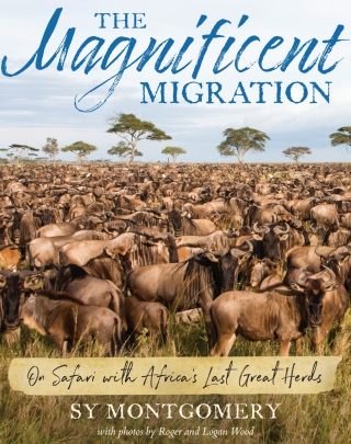 Cover image: The Magnificent Migration 9780544761131