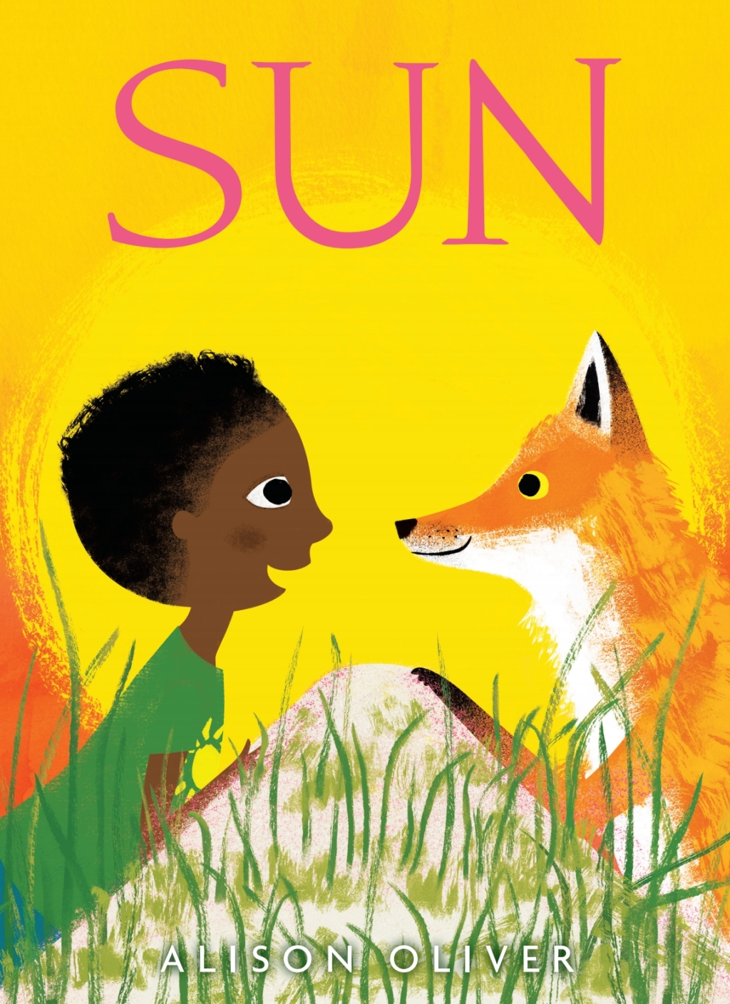 Sun (eBook)