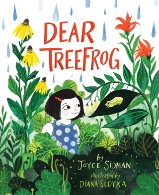 Cover image: Dear Treefrog 9780358064763