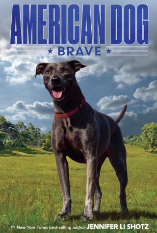 Cover image: Brave 9780358108726