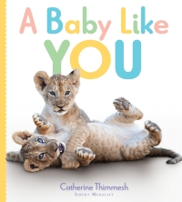 Cover image: A Baby Like You 9781328553126