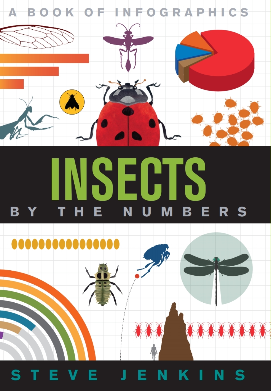 Insects By The Numbers