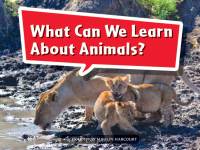 Cover image: What Can We Learn About Animals? 1st edition 9780544070950
