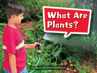 Cover image: What Are Plants? 1st edition 9780544070967