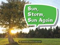 Cover image: Sun, Storm, Sun Again 1st edition 9780544072046