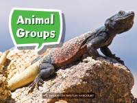 Cover image: Animal Groups 1st edition 9780544072060