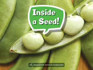 Cover image: Inside a Seed! 1st edition 9780544072077