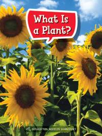 Cover image: What Is a Plant? 1st edition 9780544072176