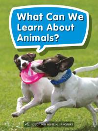 Cover image: What Can We Learn About Animals? 1st edition 9780544072268
