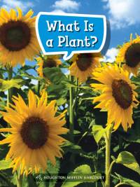 Cover image: What Is a Plant? 1st edition 9780544072275