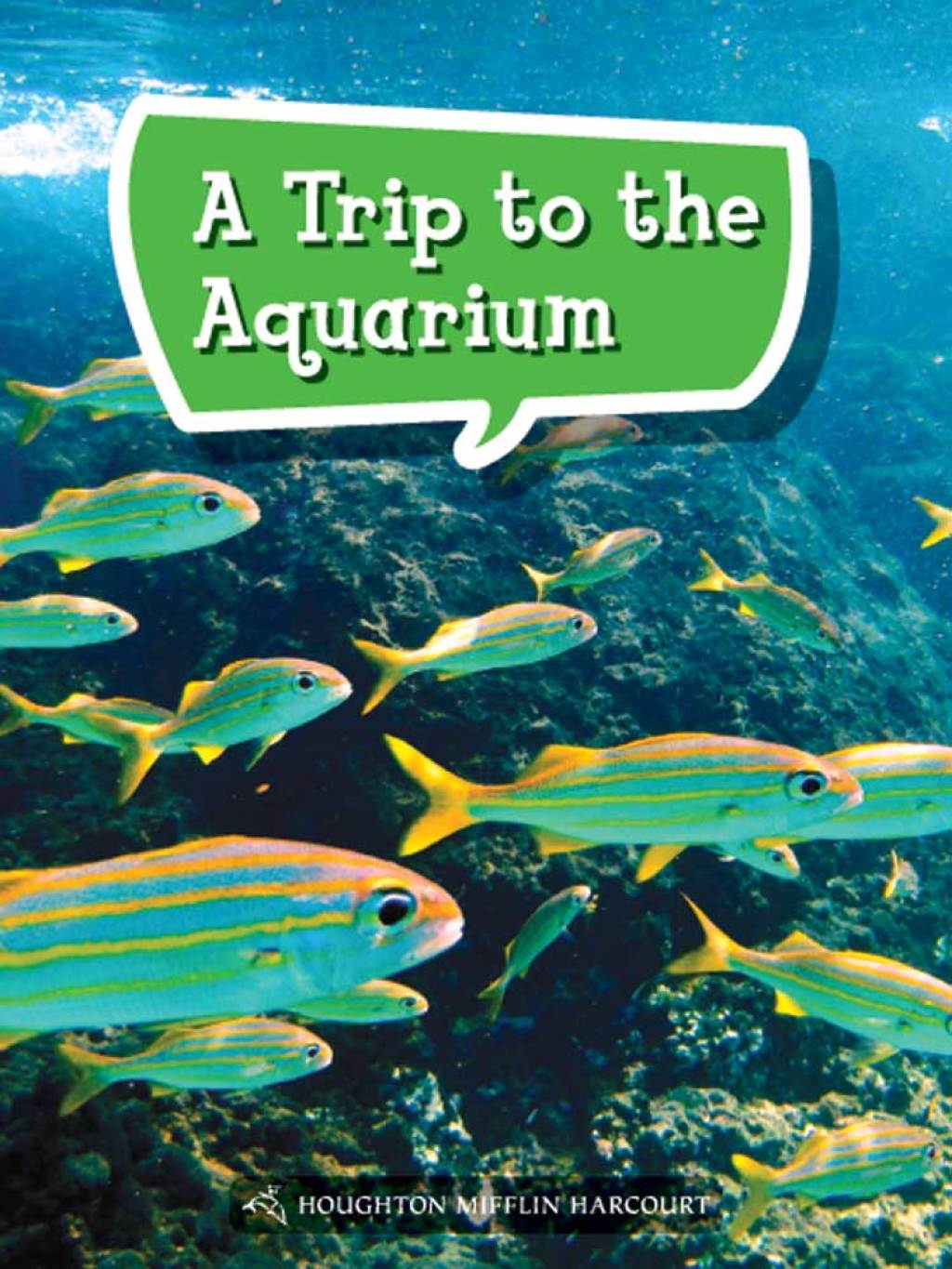 A Trip to the Aquarium 1st Edition