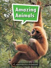 Cover image: Amazing Animals 1st edition 9780544072367
