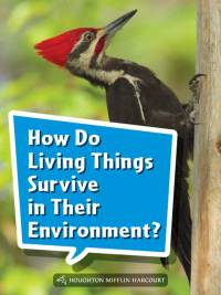 Cover image: How Do Living Things Survive in Their Environment? 1st edition 9780544072565