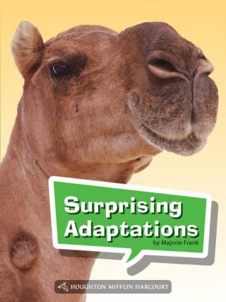 Cover image: Surprising Adaptations 1st edition 9780544073005