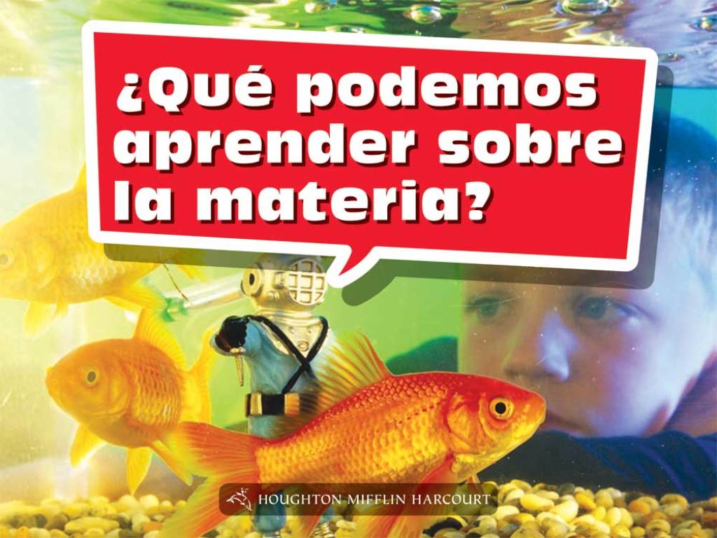 ¿Qué podemos aprender sobre la materia? 1st Edition