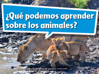 Cover image: ¿Qué podemos aprender sobre los animales? 1st edition 9780544075955