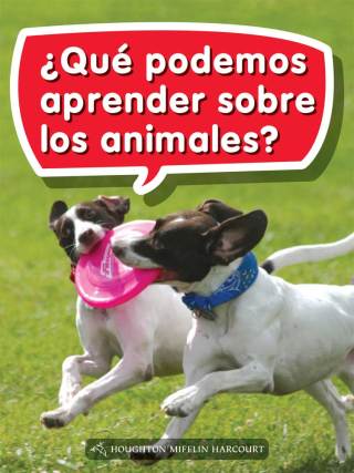 Cover image: ¿Qué podemos aprender sobre los animales? 1st edition 9780544076181
