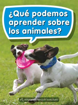 Cover image: ¿Qué podemos aprender sobre los animales? 1st edition 9780544076310