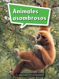 Cover image: Animales asombrosos 1st edition 9780544076426